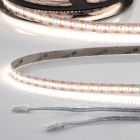 LED CRI940 MiniAMP Flexband, 12V DC, 12W, IP20, 4000K, 250cm, beids. 30cm Kabel + maleAMP, 300 LED/m