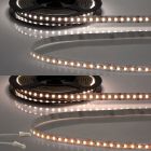 LED CRI919/940 MiniAMP CCT Flexband, 12V DC, 15W, IP20, 250cm, 2 polig, Kabel mit Stecker, 240 LED/m