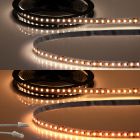 LED CRI919/940 MiniAMP CCT Flexband, 24V DC, 15W, IP20, 250cm, 2 polig, Kabel mit Stecker, 240 LED/m