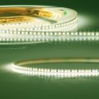 LED CRI841 Flexband, 24V DC, 15W, IP20, Lime, 4100K CRI80, 5m Rolle, 120 LED/m