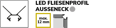 Ausseneck
